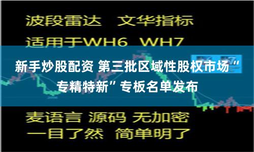 新手炒股配资 第三批区域性股权市场“专精特新”专板名单发布