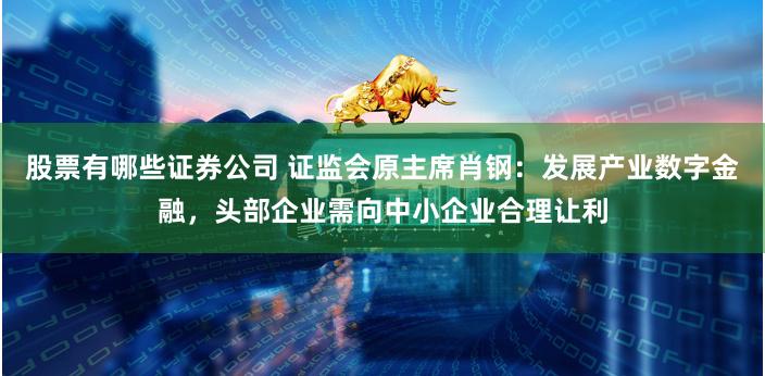 股票有哪些证券公司 证监会原主席肖钢：发展产业数字金融，头部企业需向中小企业合理让利