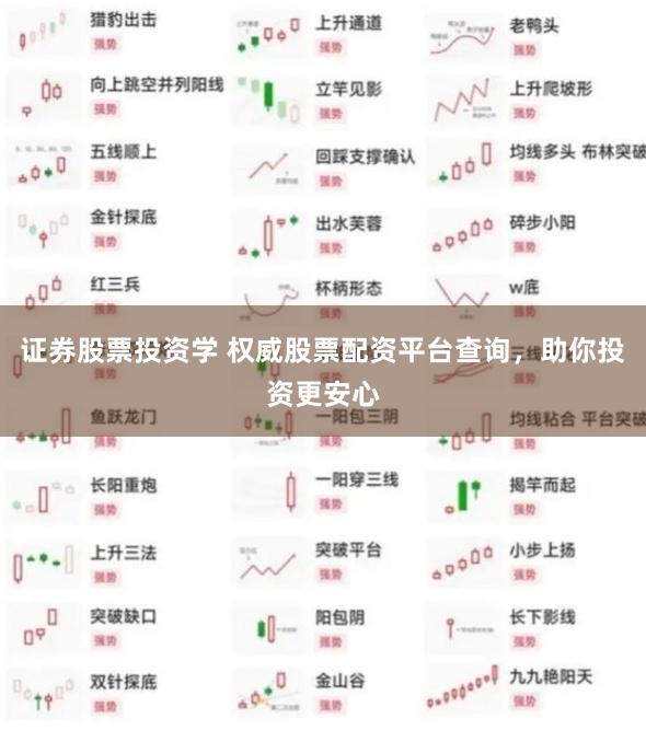 证券股票投资学 权威股票配资平台查询，助你投资更安心
