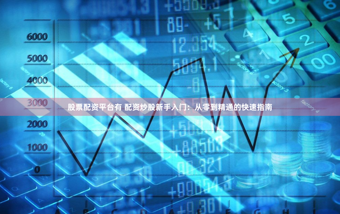 股票配资平台有 配资炒股新手入门：从零到精通的快速指南