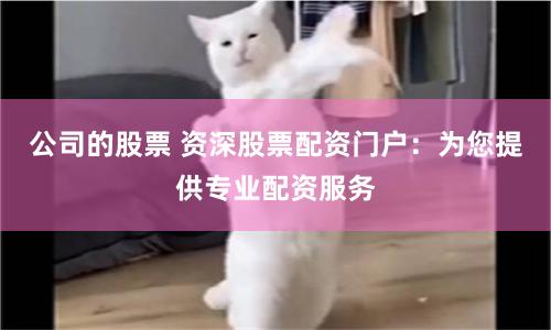 公司的股票 资深股票配资门户：为您提供专业配资服务