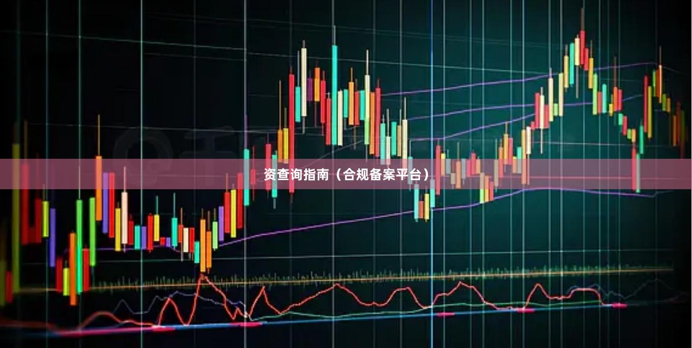 资查询指南（合规备案平台）