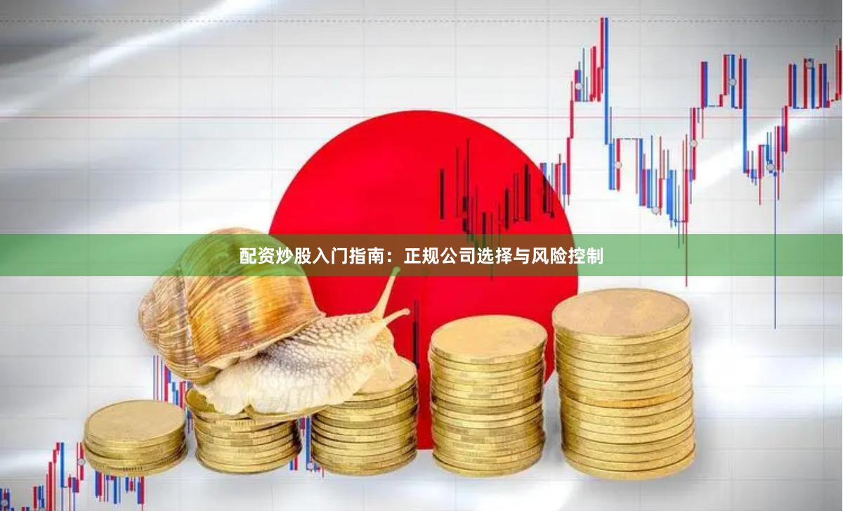 配资炒股入门指南：正规公司选择与风险控制